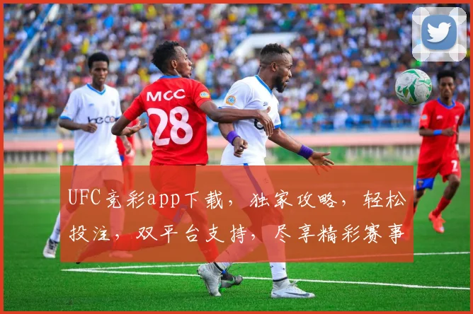 UFC竞彩app下载，独家攻略，轻松投注，双平台支持，尽享精彩赛事