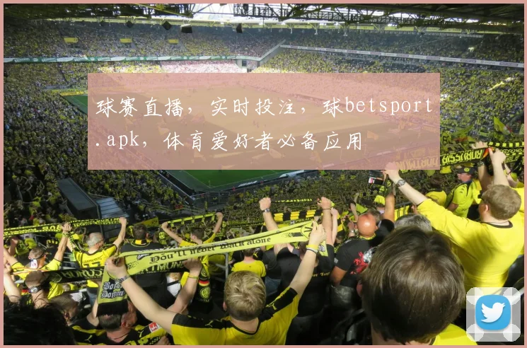 球赛直播，实时投注，球betsport.apk，体育爱好者必备应用