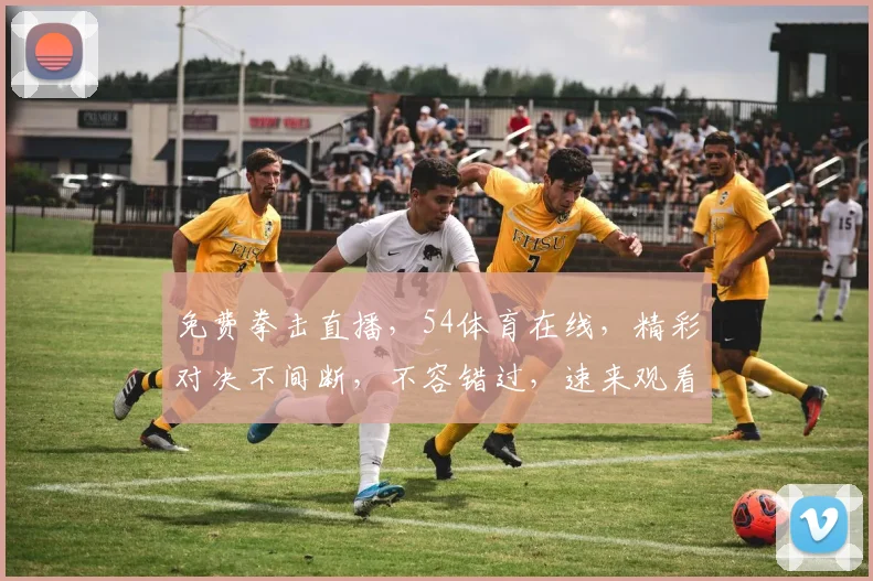 免费拳击直播，54体育在线，精彩对决不间断，不容错过，速来观看